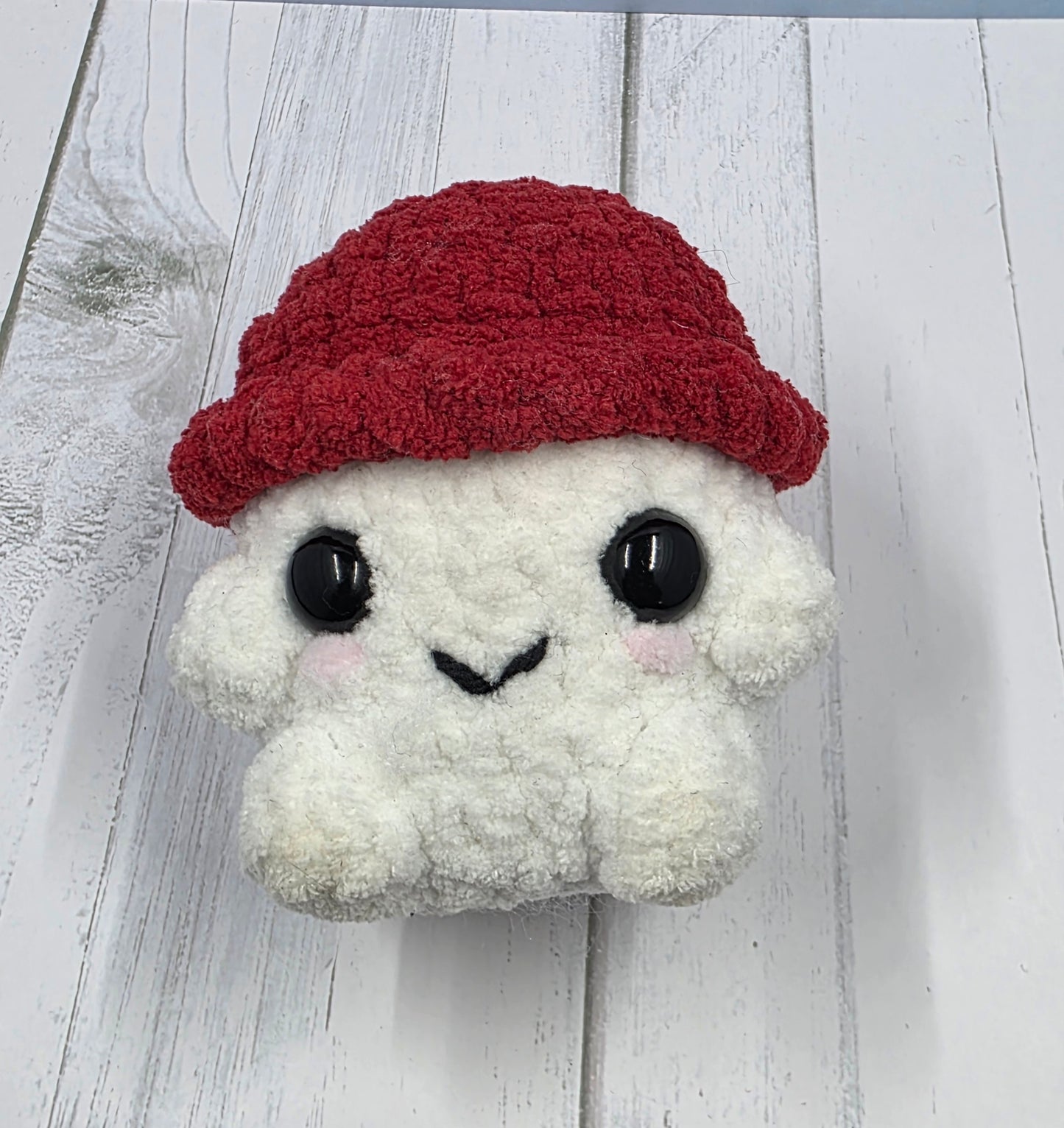 Mushroom kid